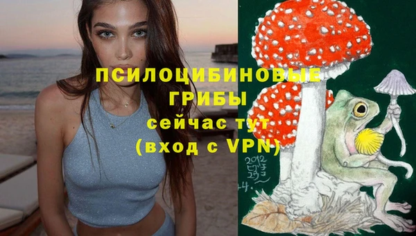 дурь Армянск