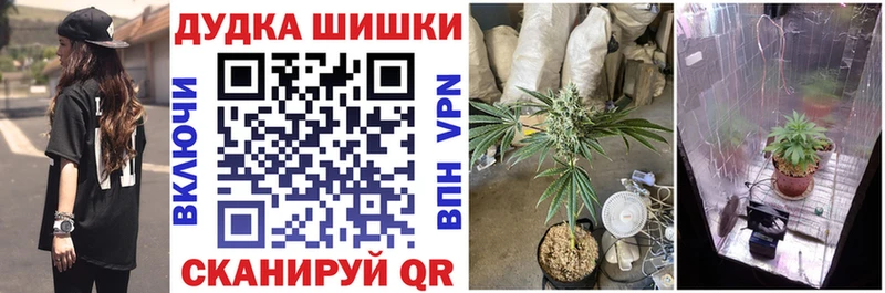 Канабис SATIVA & INDICA  Прохладный 